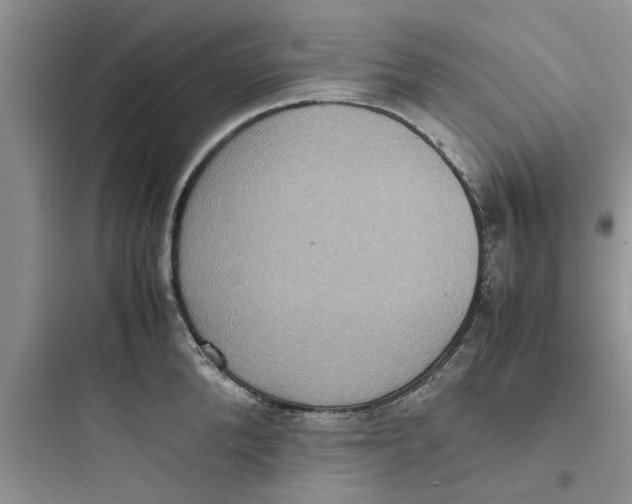 X0000097620904200803211742