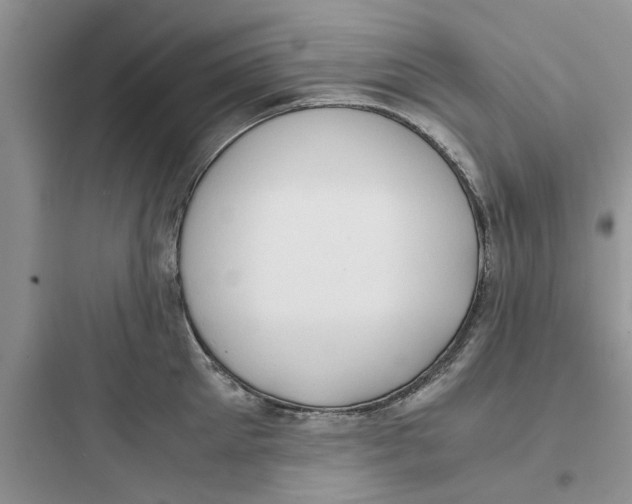 X0000097620905200803211742