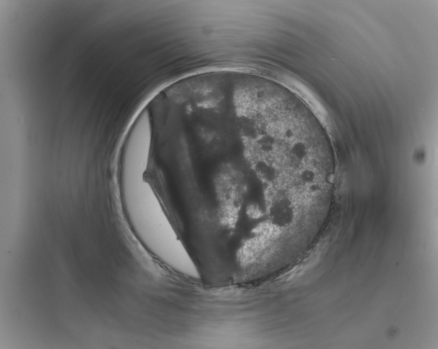 X0000097620907200803211742