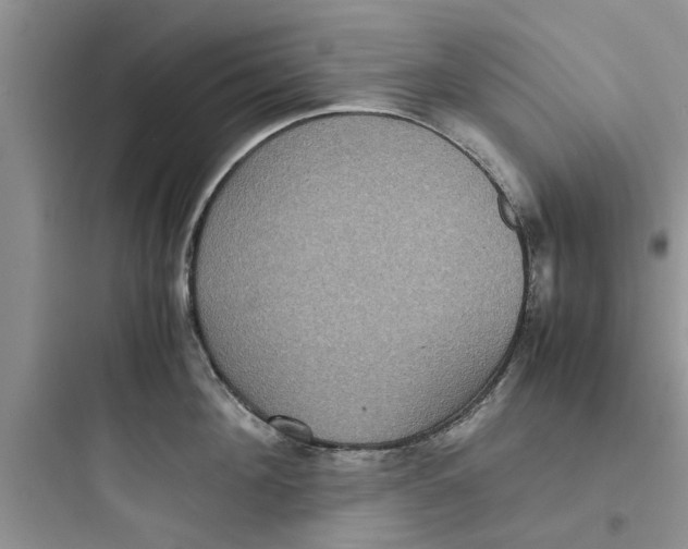 X0000097620908200803211742