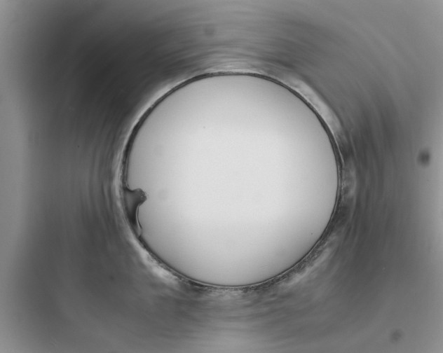 X0000097620909200803211742