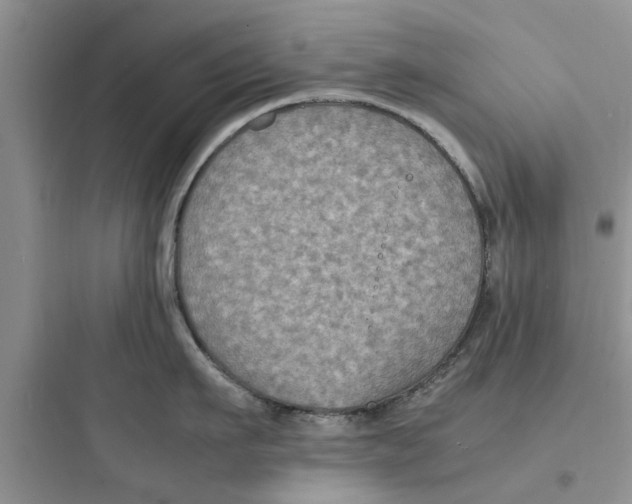 X0000097620911200803211742
