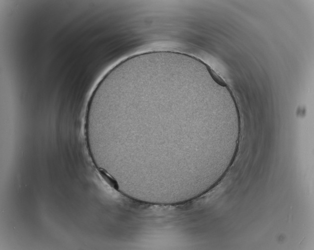 X0000097620912200803211742