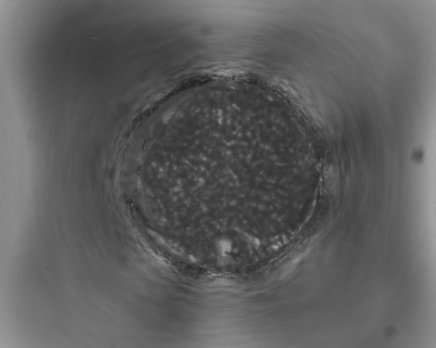 X0000097620913200803211742