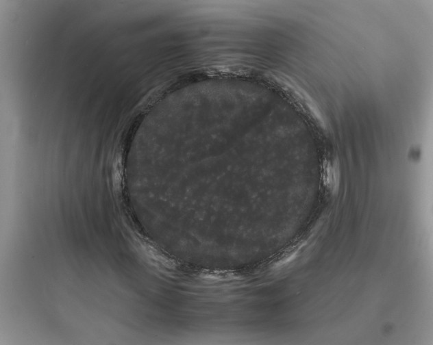 X0000097620915200803211742