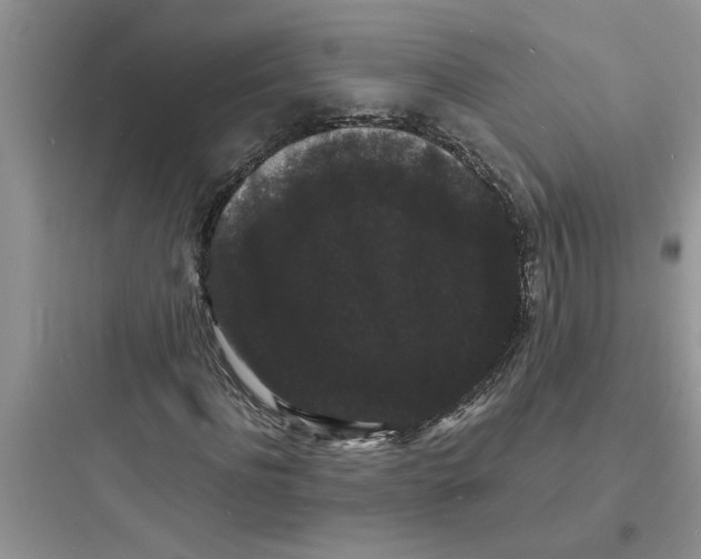 X0000097620916200803211742