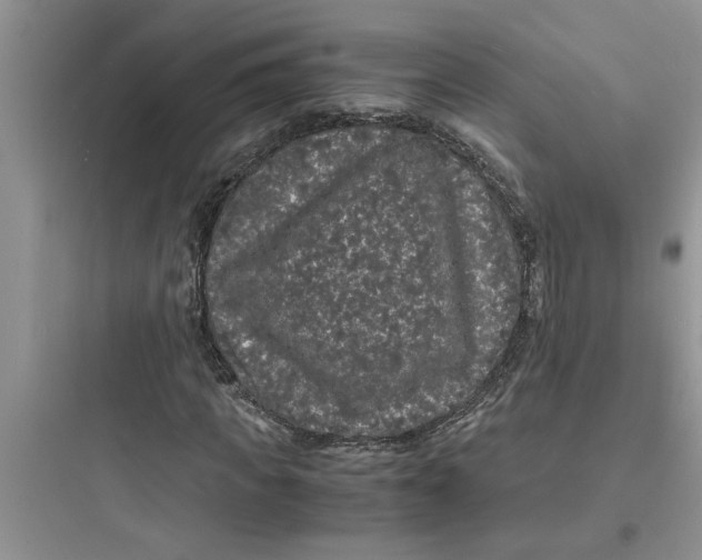 X0000097620917200803211742