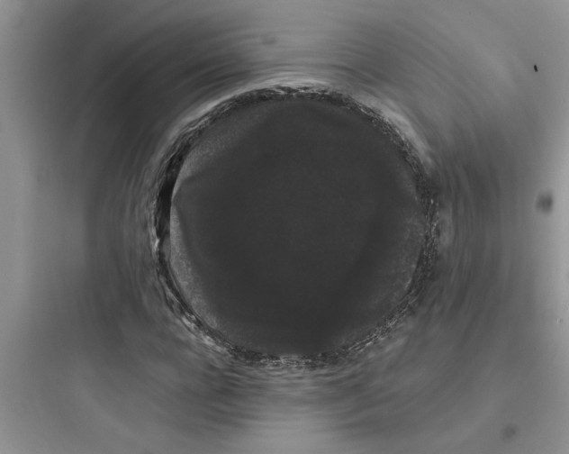 X0000097620920200803211742