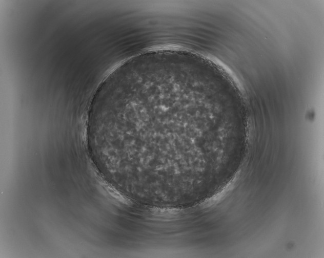 X0000097620921200803211742