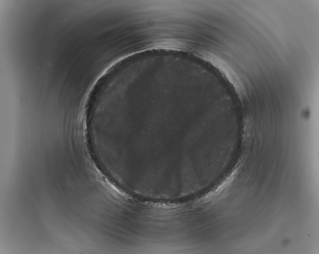 X0000097620923200803211742