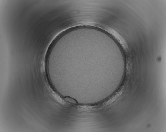 X0000097620924200803211742
