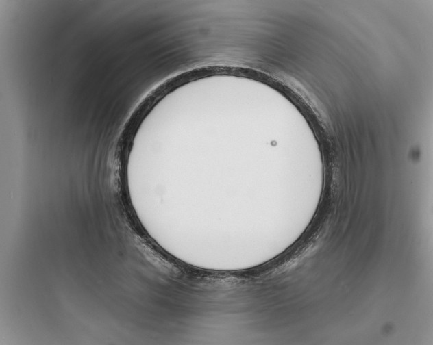 X0000097620926200803211742