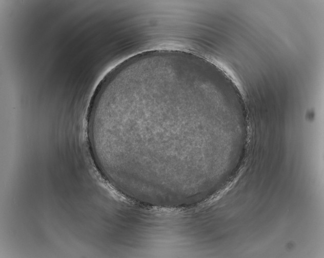 X0000097620928200803211742