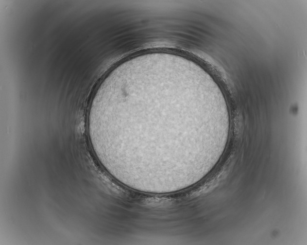 X0000097620929200803211742