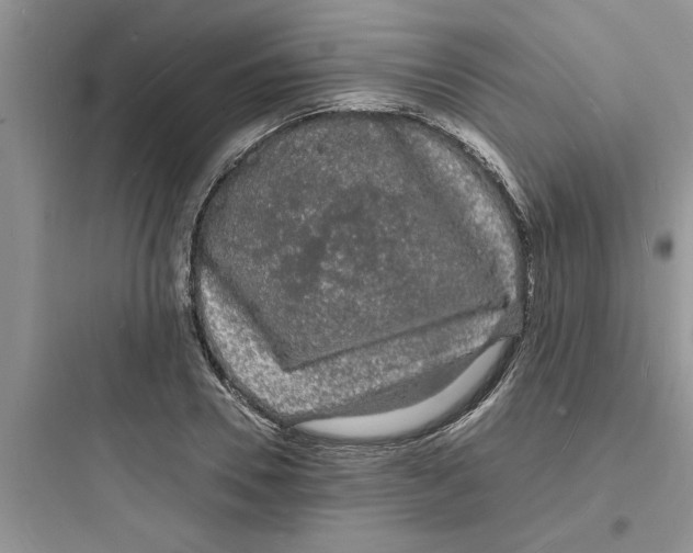 X0000097620930200803211742