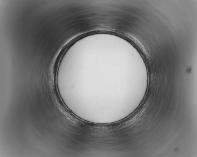 X0000097620931200803211742