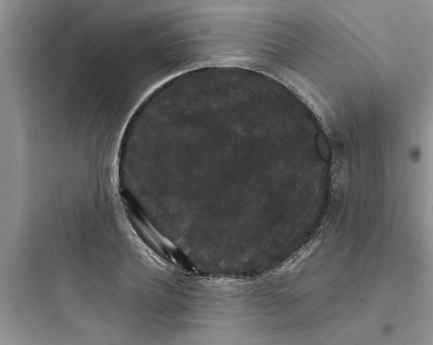 X0000097620932200803211742