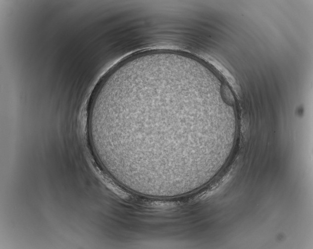 X0000097620933200803211742