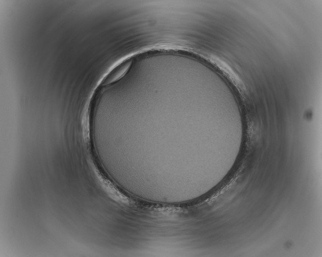 X0000097620934200803211742