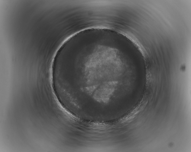 X0000097620935200803211742