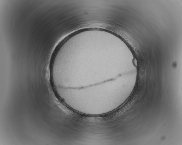 X0000097620936200803211742
