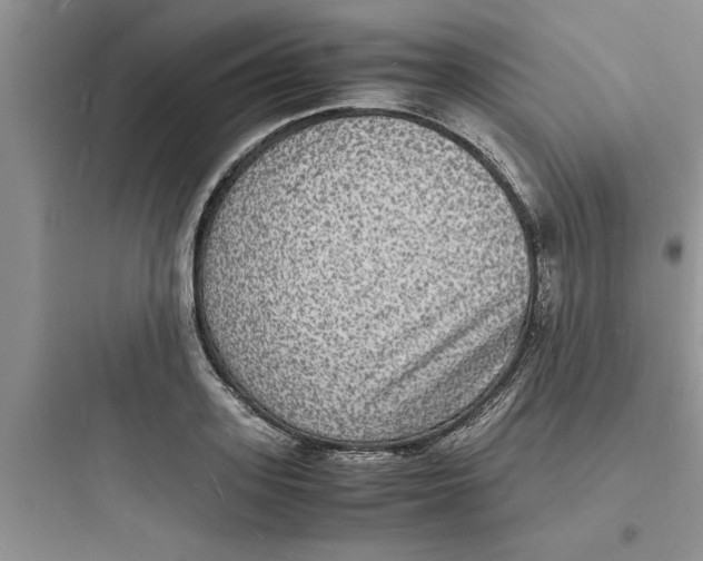X0000097620939200803211742