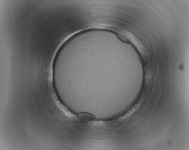 X0000097620940200803211742