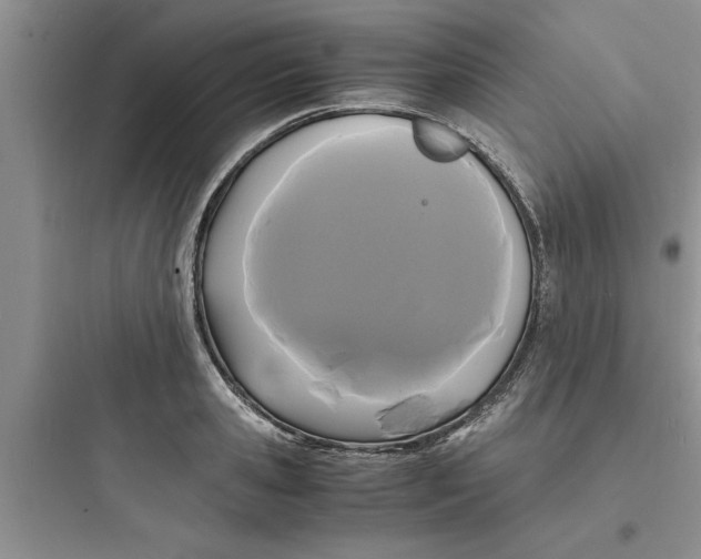 X0000097620941200803211742