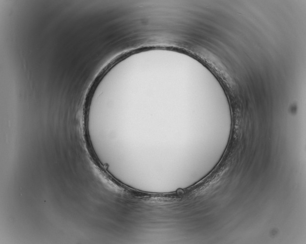 X0000097620942200803211742