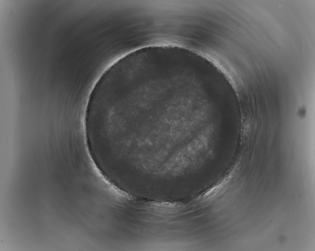 X0000097620943200803211742
