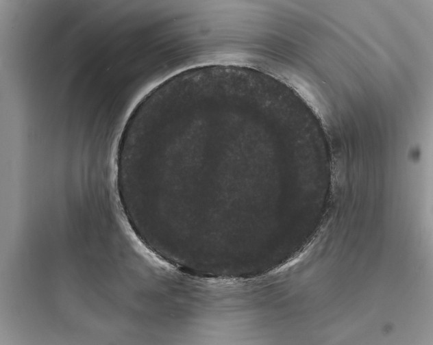 X0000097620944200803211742