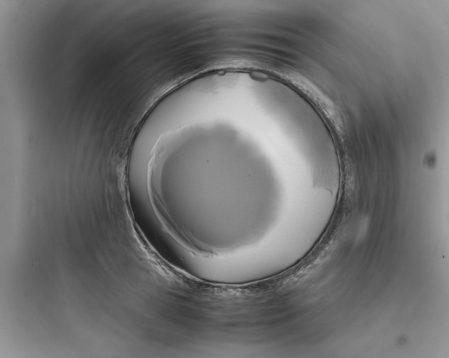 X0000097620945200803211742