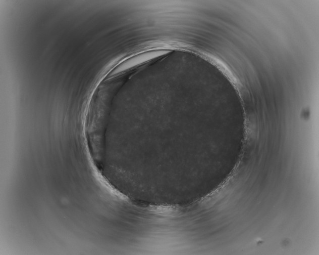 X0000097620946200803211742