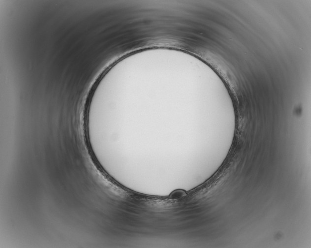 X0000097620947200803211742
