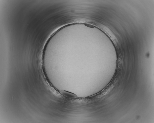 X0000097620948200803211742