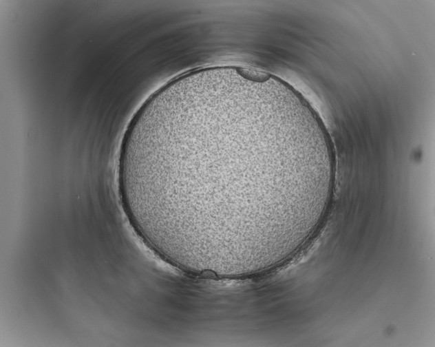 X0000097620949200803211742