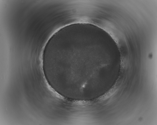 X0000097620950200803211742