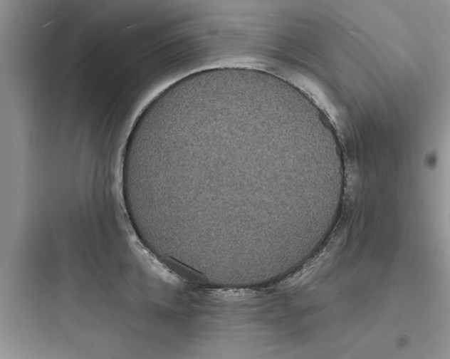 X0000097620952200803211742