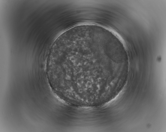 X0000097620953200803211742