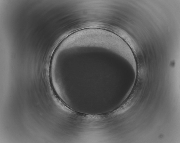 X0000097620954200803211742