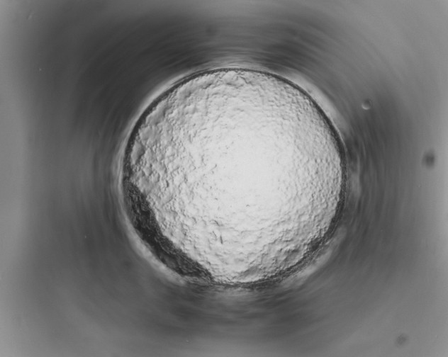 X0000097620957200803211742