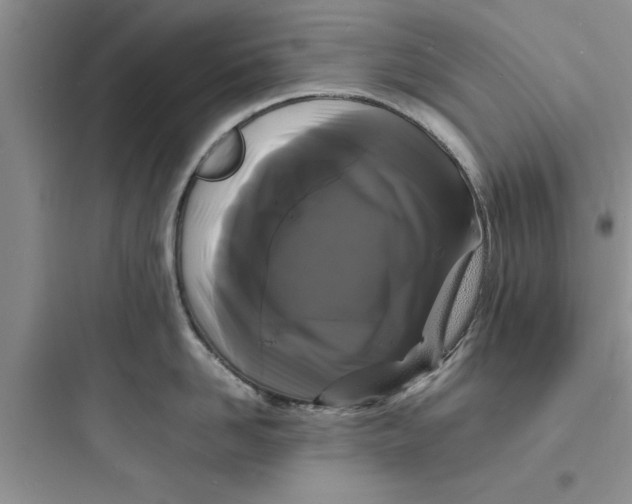 X0000097620958200803211742