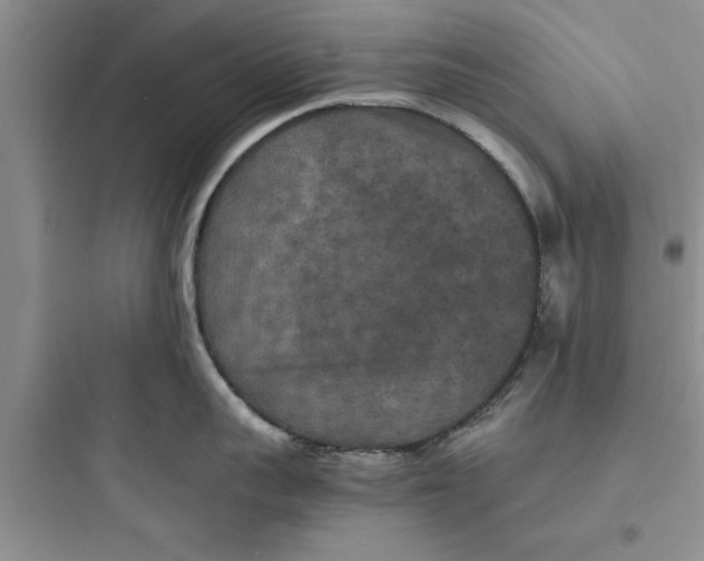 X0000097620959200803211742