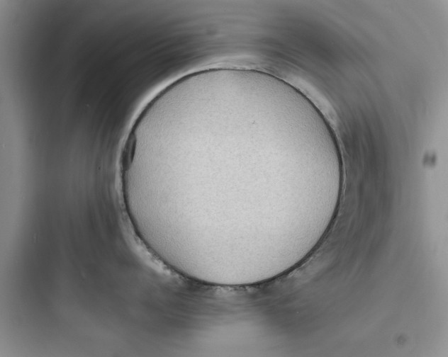X0000097620960200803211742
