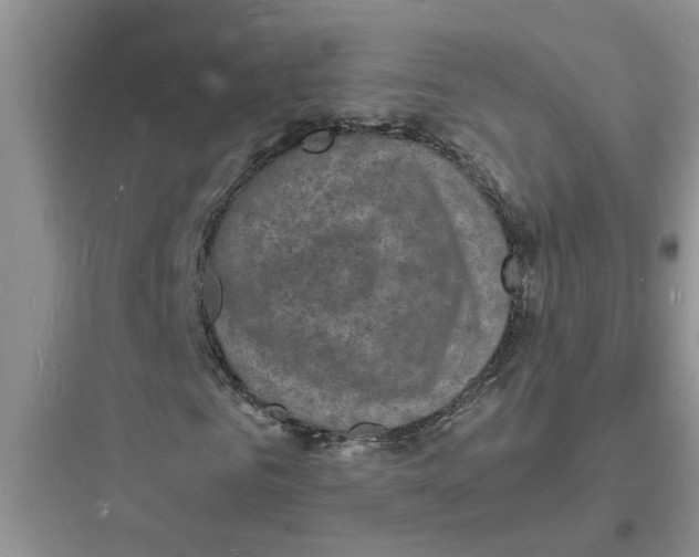 X0000097620961200803211742