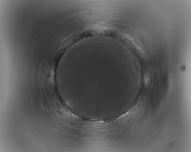 X0000097620964200803211742