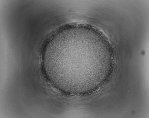 X0000097620965200803211742