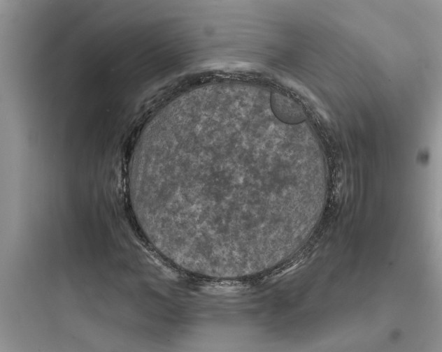 X0000097620966200803211742