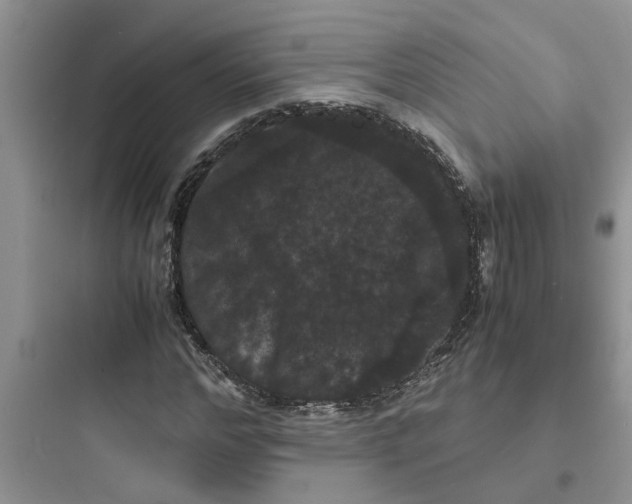X0000097620968200803211742