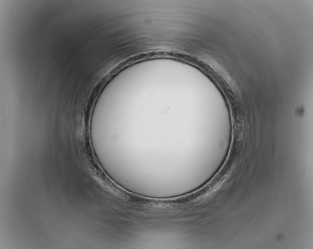 X0000097620969200803211741